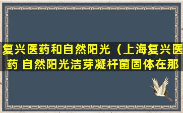 复兴医药和自然阳光（上海复兴医药 自然阳光洁芽凝杆菌固体在那个平台买）